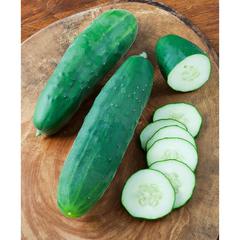 Cucumber