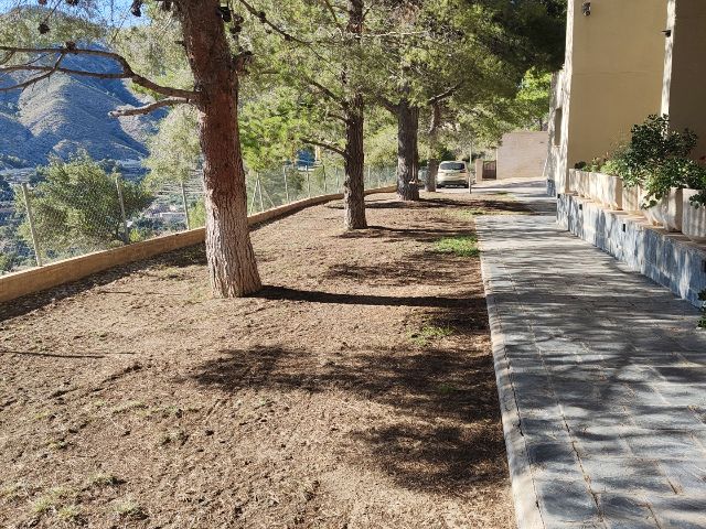 User zone photo